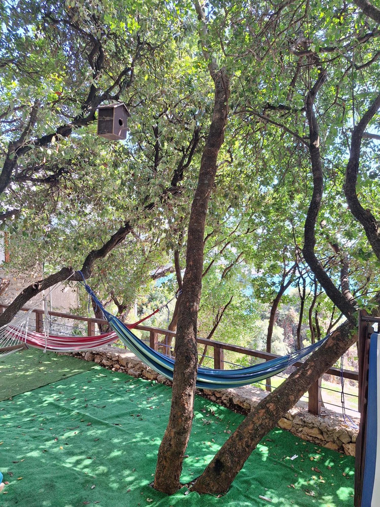 Sunnyday House Villa Masline Dış mekan fotoğraf